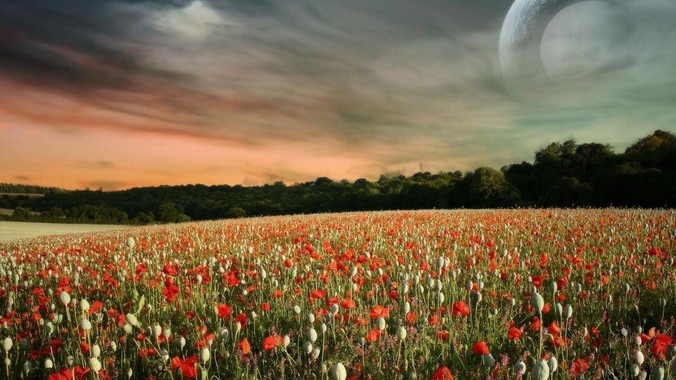 你的网盘里有什么好东西,可以分享给我吗,陌生人?